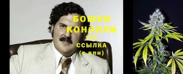шишки Балабаново