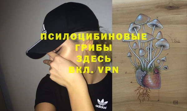 mdpv Баксан