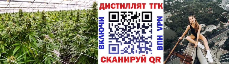 Дистиллят ТГК жижа Жиздра